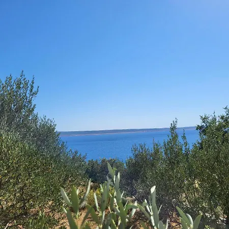 Masic בית הארחה Milovci