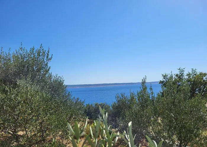 Masic Гостевой дом Milovci